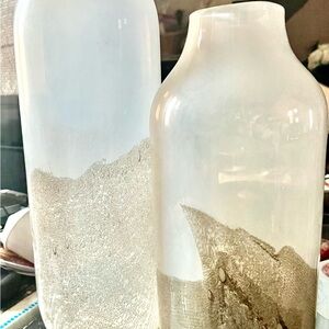 Elegant Frosted Glass Vases - Set of 2